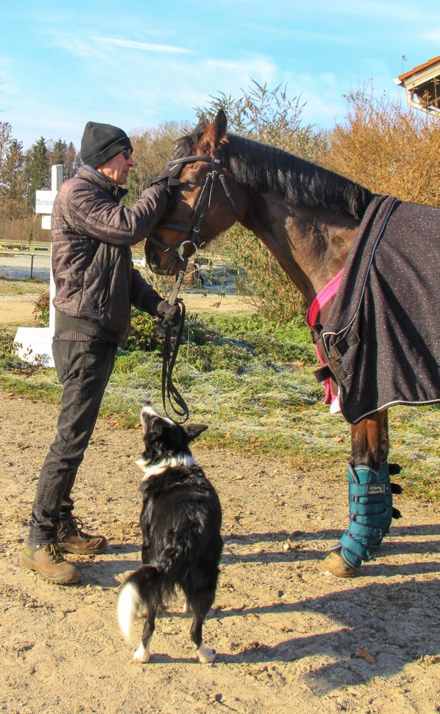 Mann streichelt Pferd mit Hund
