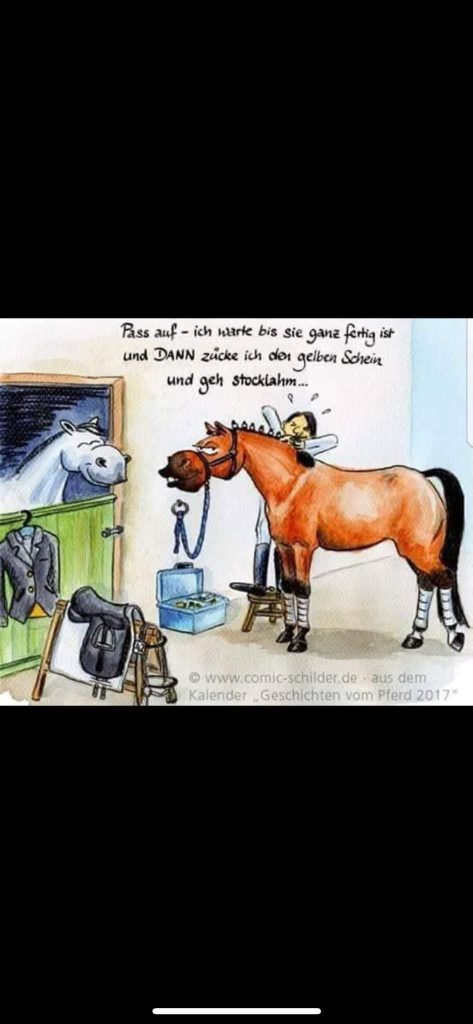 Pferd im Stall mit Sattel