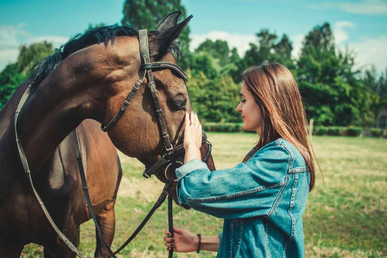Frau in blauer Jeansjacke steht tagsüber neben einem braunen Pferd.