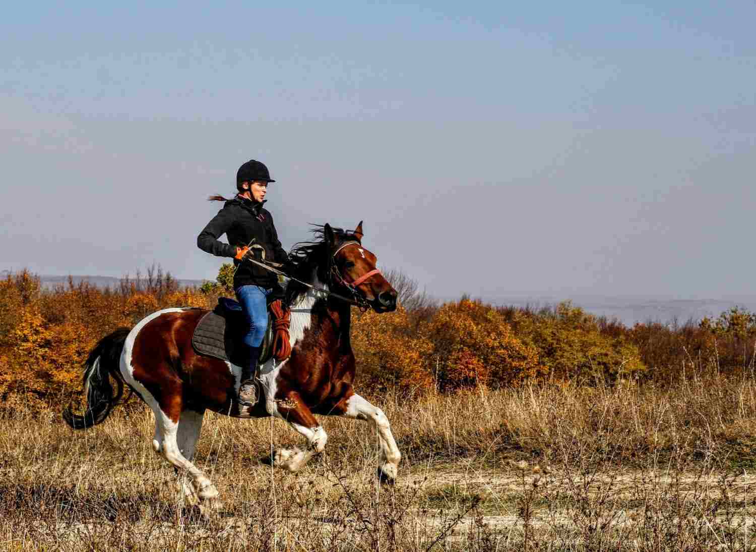 Person, die auf einem Pferd reitet