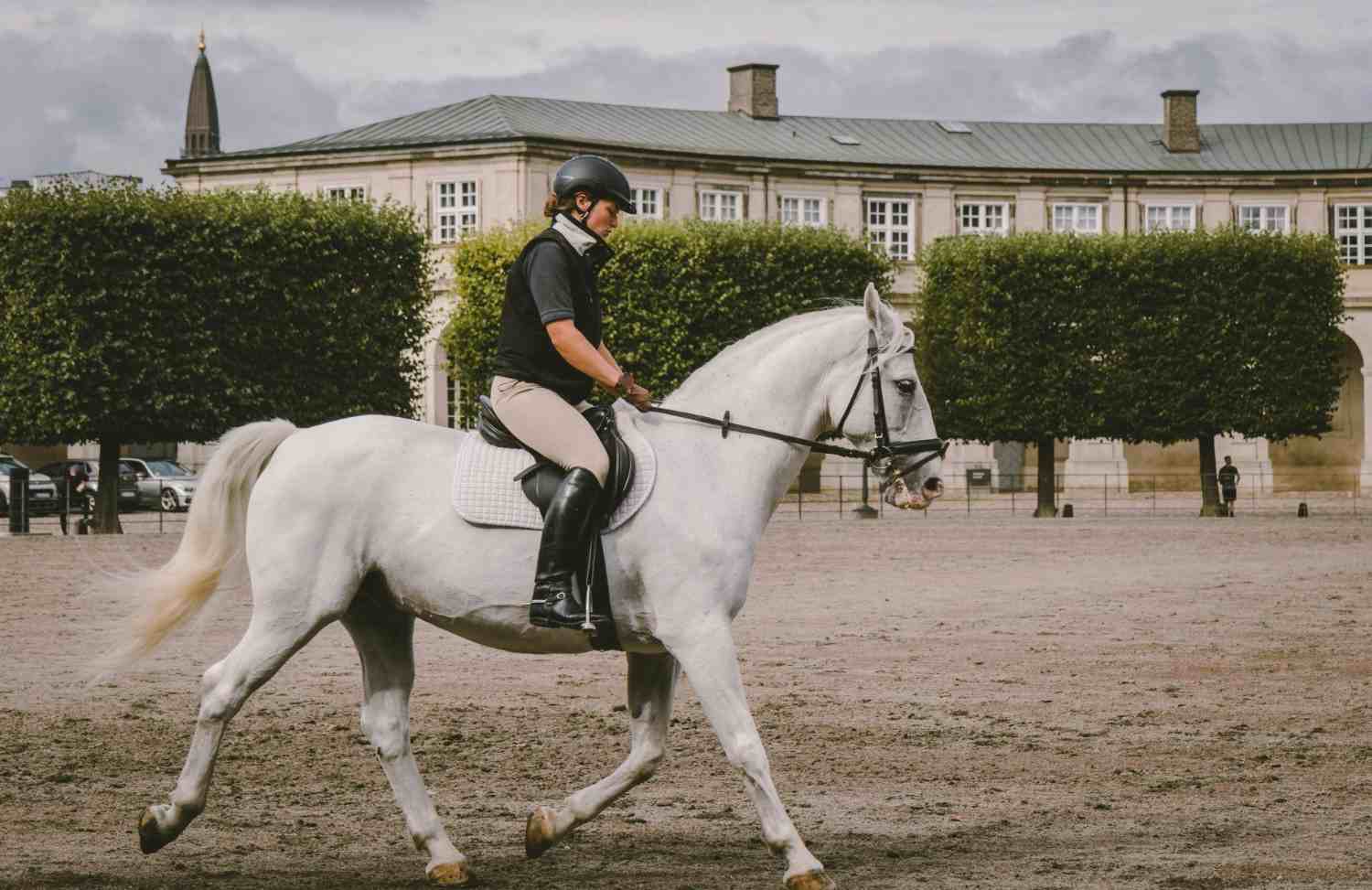 Reiter auf einem Feld nahe einem Gebäude bei Tageslicht